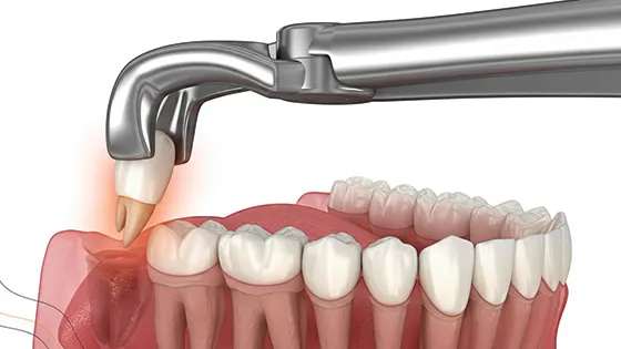 Seu bem-estar é a nossa prioridade sempre