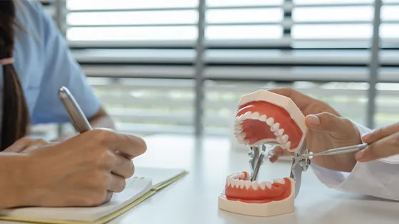 Coroas e Blocos: a força do seu sorriso natural